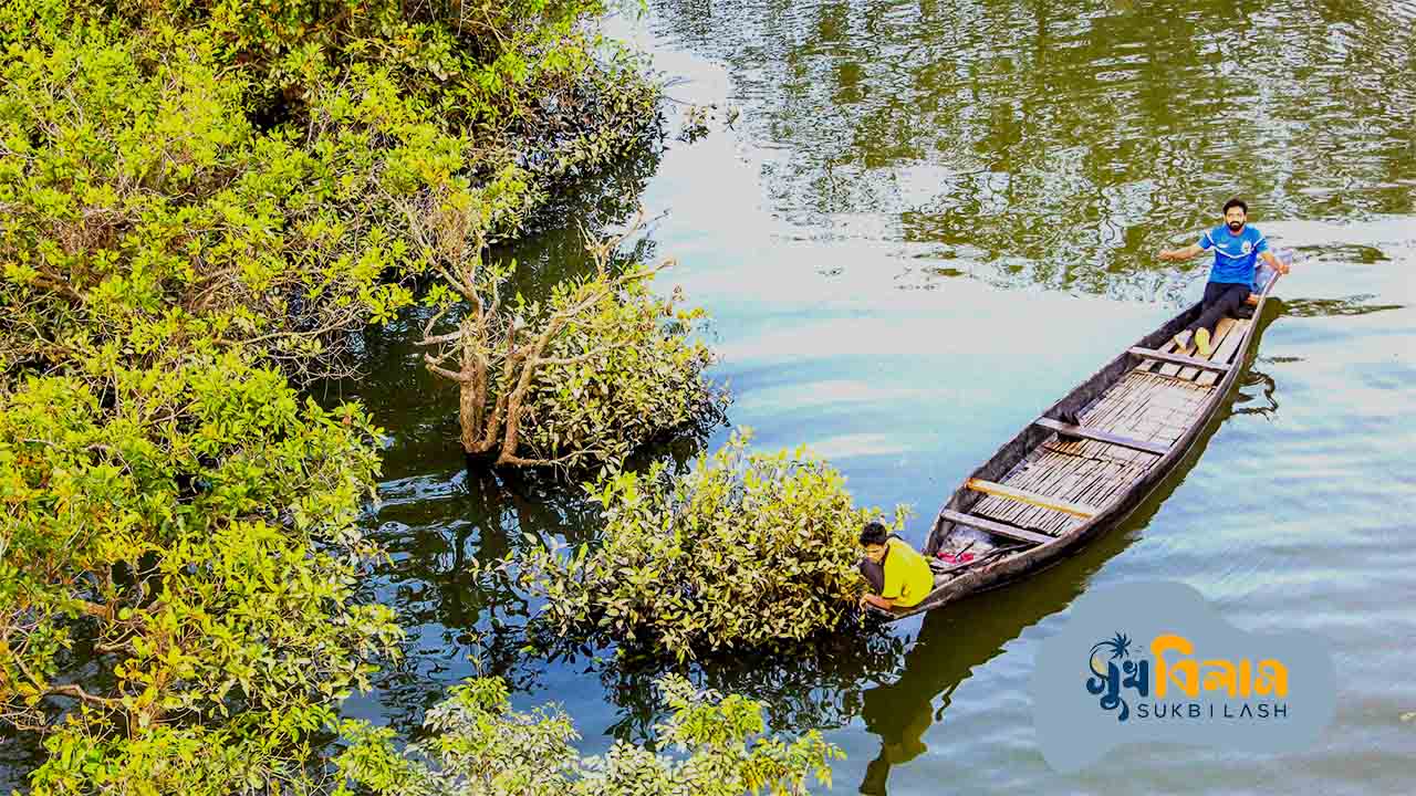 সিলেটের দর্শনীয় স্থান রাতারগুল সোয়াম্প ফরেস্ট