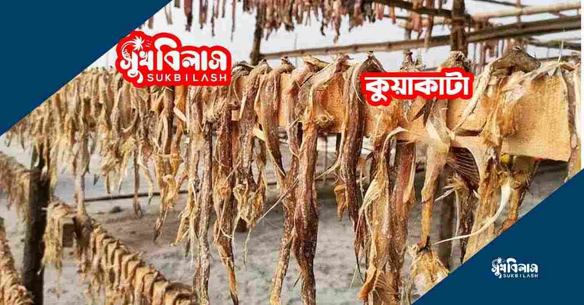 শুঁটকি পল্লী ভ্রমণ – Shuntki Palli tour