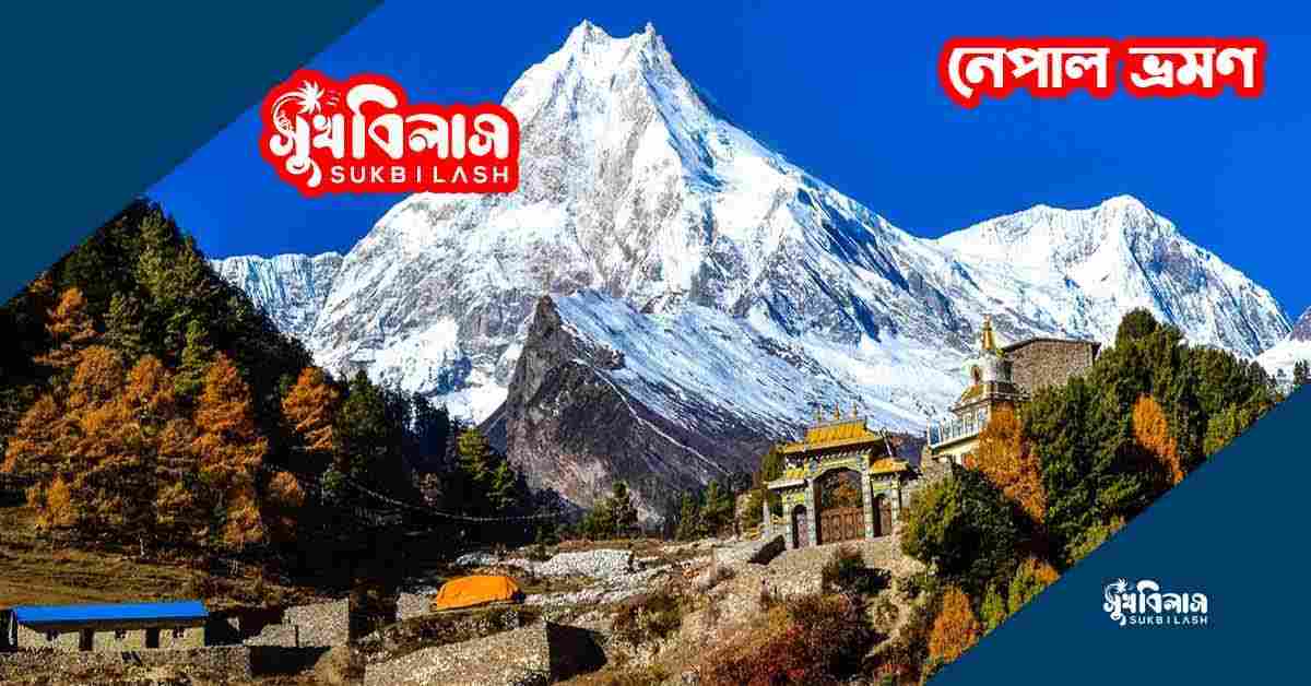 নেপাল টুরিস্ট ভিসা প্রসেসিং (Nepal Tourist Visa Processing)