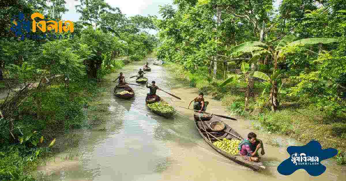 ভাসমান পেয়ারা বাজার কিভাবে যাবেন (How to go to floating guava market) 