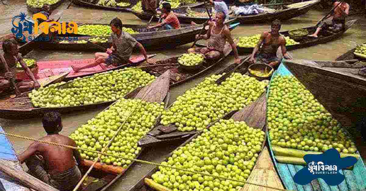 ভাসমান পেয়ারা বাজারের অর্থনৈতিক গুরুত্ব (Economic importance of floating guava market)