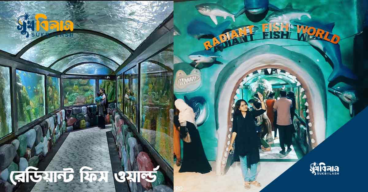 রেডিয়েন্ট ফিস ওয়ার্ল্ড, Radiant Fish World