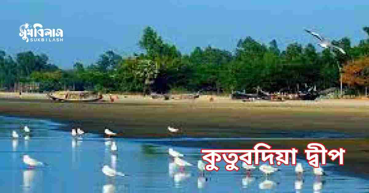 কুতুবদিয়া দ্বীপ kutubdia island