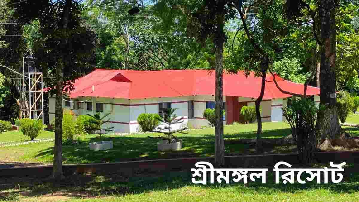 শ্রীমঙ্গল রিসোর্ট Sreemangal resort