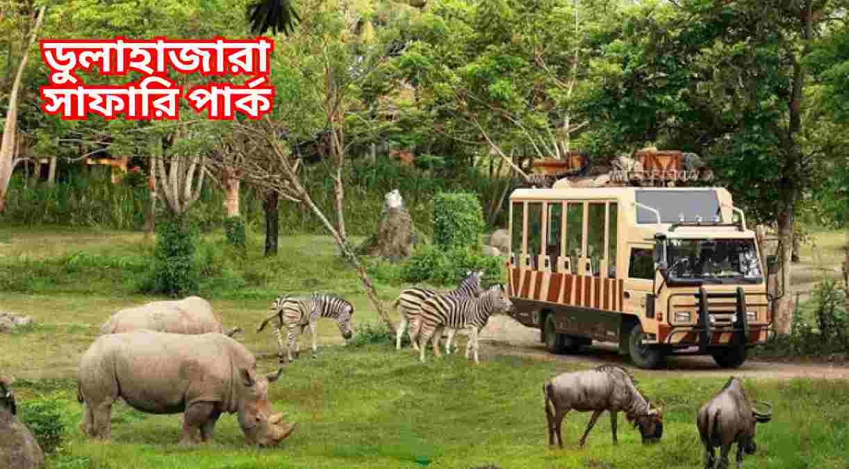 ডুলাহাজারা সাফারি পার্ক Dulahazra safari park