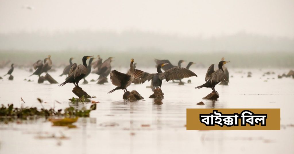 বাইক্কা বিল baikka beel